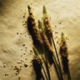 Полиуретановые продукты